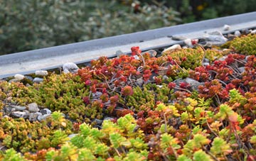 the cost of Edbrook green roof installation