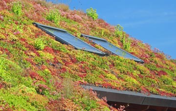 Edbrook living roof systems