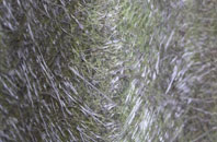 Edbrook fibreglass roof work